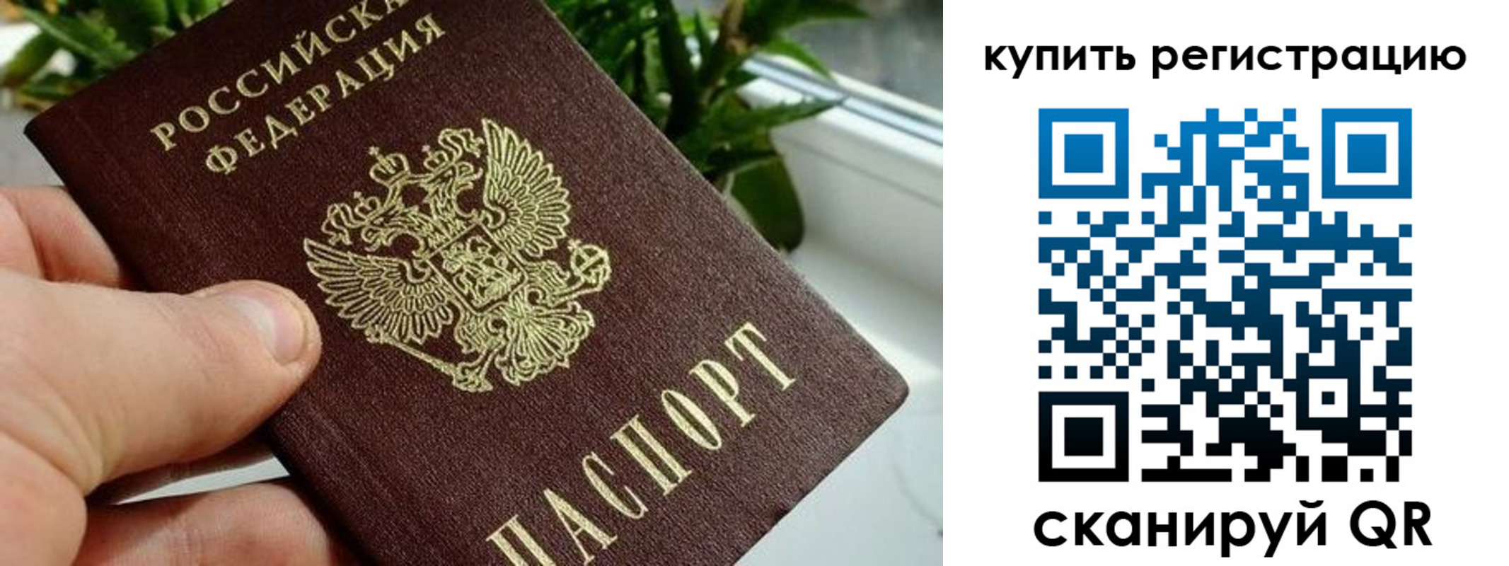 прописка гарантия в Пестово